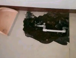 岳塘卫生间测漏水多少钱